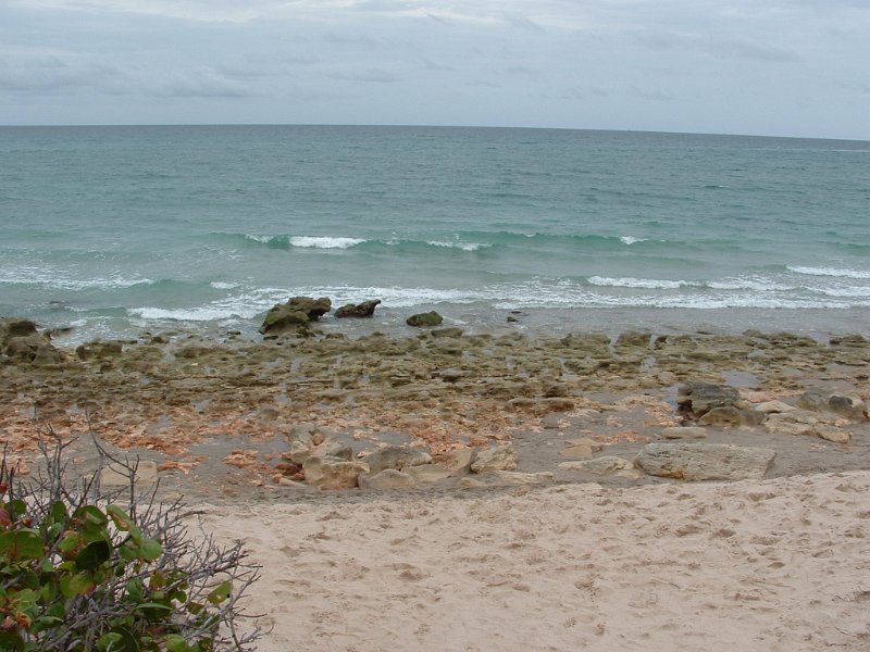 JTRG_FD_2012 (50).JPG